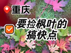 -重庆彩云湖湿地公园