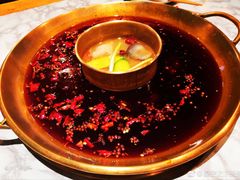 -杨家火锅(国美店)