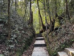 -云南屏边大围山国家公园