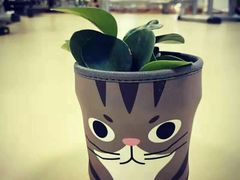 -中田健身工作室(太阳广场店)