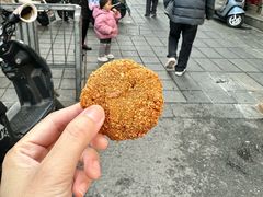 -陶记正宗德州扒鸡(科巷店)