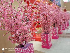 -小米之家(金鹰湖滨天地店)