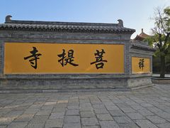 -台儿庄古城