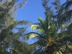 -亚龙湾站
