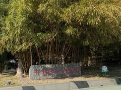 -五缘湾湿地公园