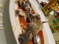 -张生记(丁香国际店)