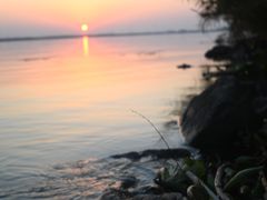 -漕湖湿地公园