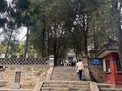 -泰山风景名胜区-普照寺