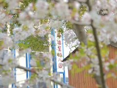 -上海松江区迪笙幼儿园