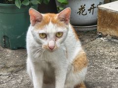 -BARBECUE烤肉屋