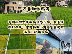 -老鼎万春卤菜(五代传承创始老店)