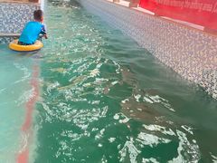 -南宫温泉水世界