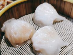 水晶虾饺皇-如轩·海鲜砂锅粥·潮汕菜(小榄店)