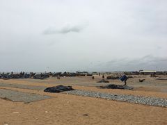 -尼甘布海鲜市场