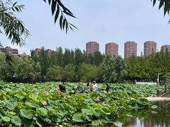 -前关湿地公园