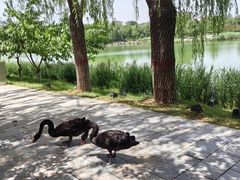 -河北省园博园