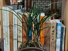 -菩提书坊(侨福大厦店)
