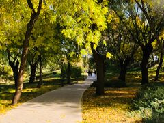 -元大都城垣遗址公园