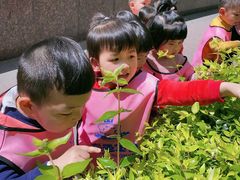 -黄浦乐烁龙鱼宝贝托育园(海潮路校区)