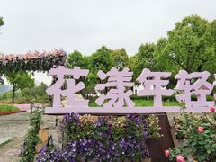 -春花秋色城市公园