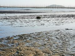 -小皓村