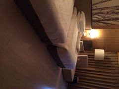 金方森林温泉(金方森林温泉半山酒店)-金方森林温泉