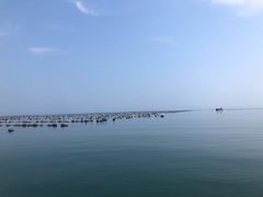 -棒棰岛宾馆景区