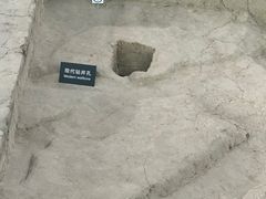 -金沙遗址博物馆