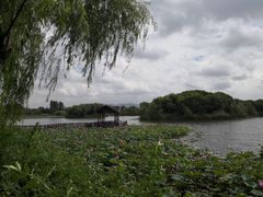 -上海市保健医疗中心