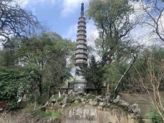 -西泠印社