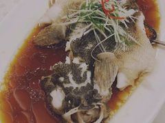 -顺风海鲜港(金玉兰店)