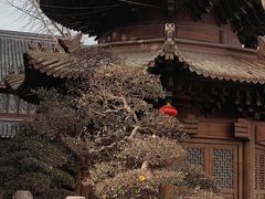 -西林禅寺