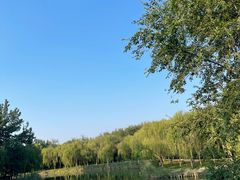 -塘沽森林公园