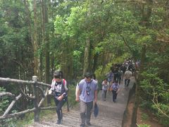 -井冈山革命烈士陵园