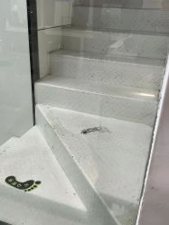 -恒沙廊