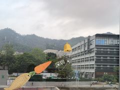 -陶缘陶瓷工厂店