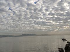 -深圳湾公园(南山区)