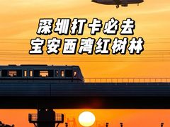 -宝安西湾红树林湿地公园