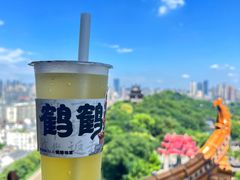 -黄鹤楼公园(黄鹤楼)