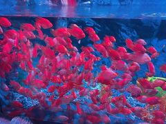 -南昌融创海世界