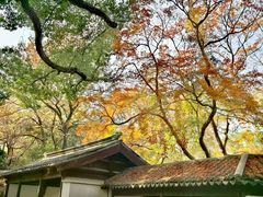 -惠山古镇·寄畅园