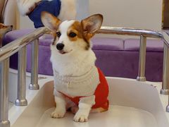 -怪兽屋·羊驼·猫咖·狗咖(俊华广场店)