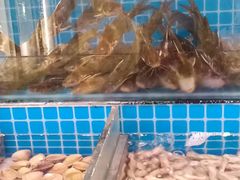 水产区-鹿客臻鲜海鲜自助餐厅(永旺店)