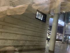 -商丘站
