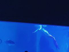 -常州海昌海洋探索馆