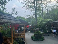 -青城甲(青城山店)