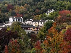 -塔川景区