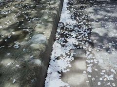 -北京广电国际酒店