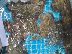 -晓伟海鲜家常菜