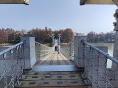 -东湖落雁景区